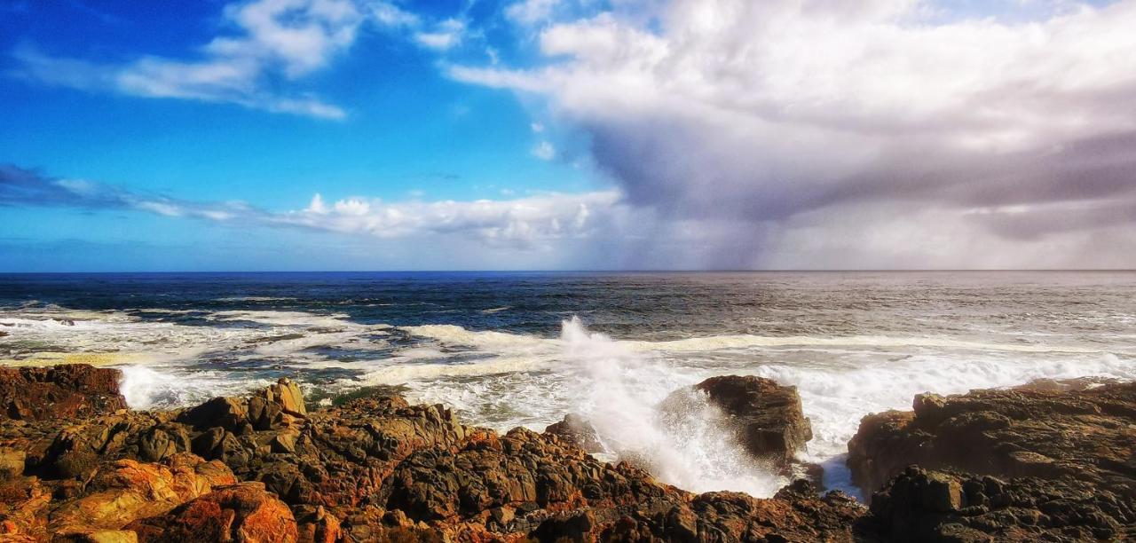 Apartmán 21 On Bakoond Yzerfontein Exteriér fotografie