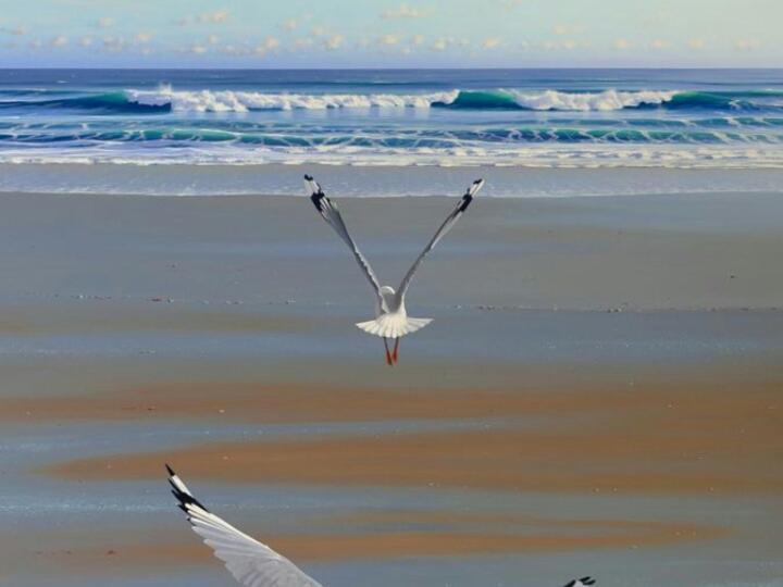 Apartmán 21 On Bakoond Yzerfontein Exteriér fotografie